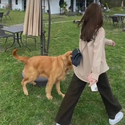 我的唐朝兄弟